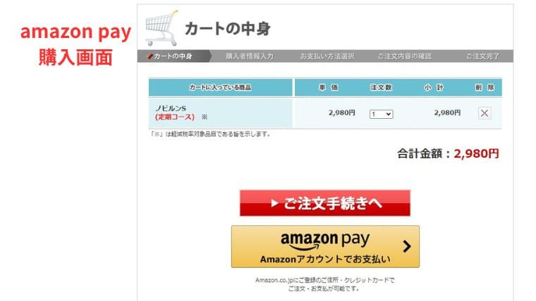 ノビルンS公式ページ・AmazonPay購入画面